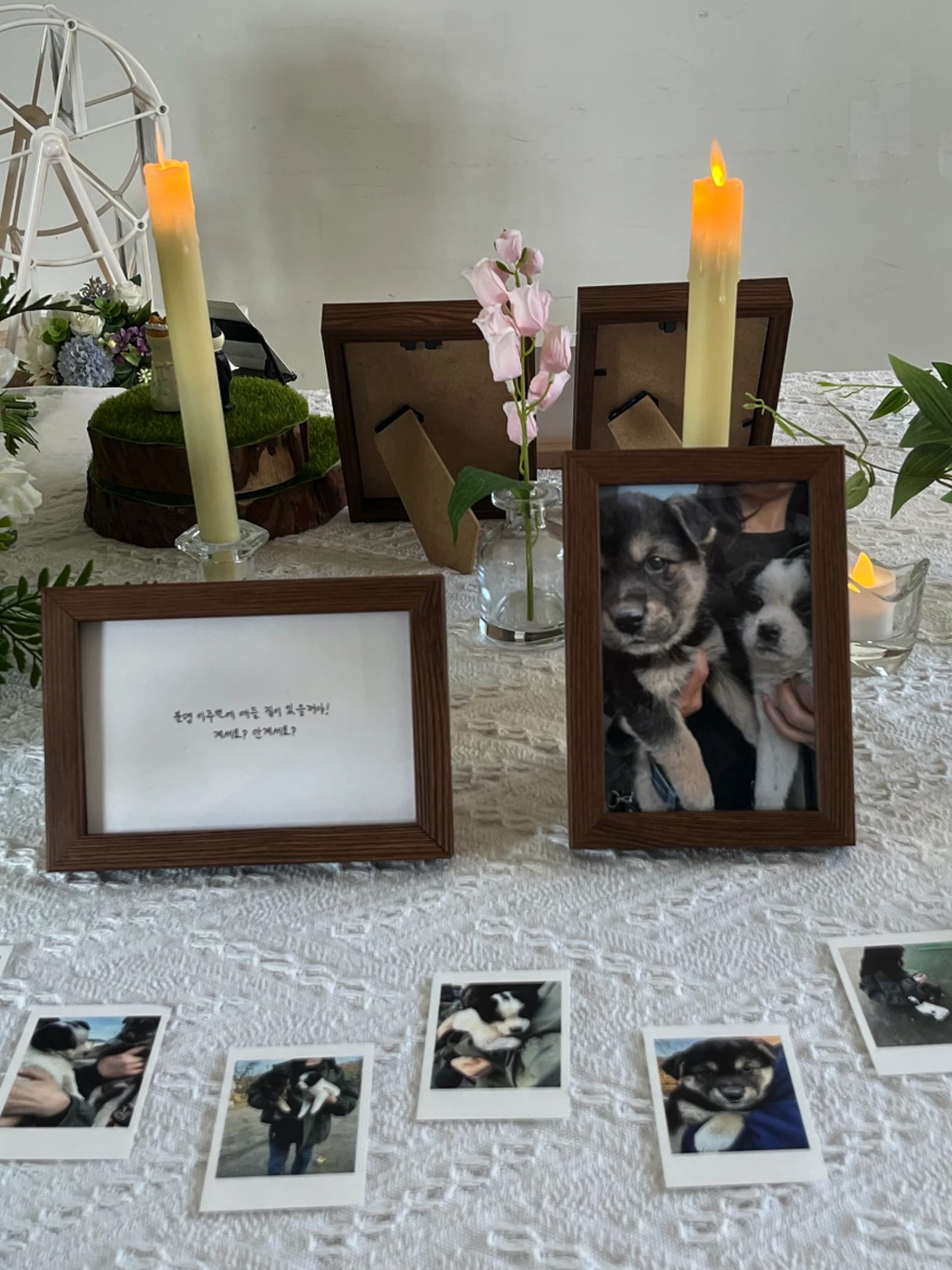 캐릭터·영화 포스터 전시 예시